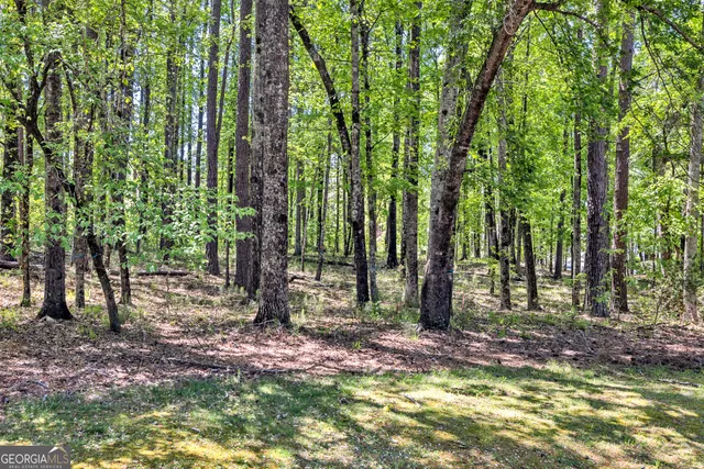 a view of outdoor space with lots of trees