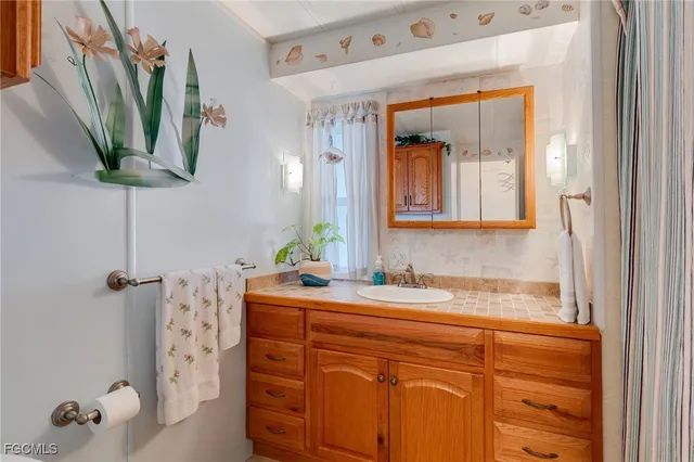 a bathroom with a granite countertop sink a potted plant and a mirror