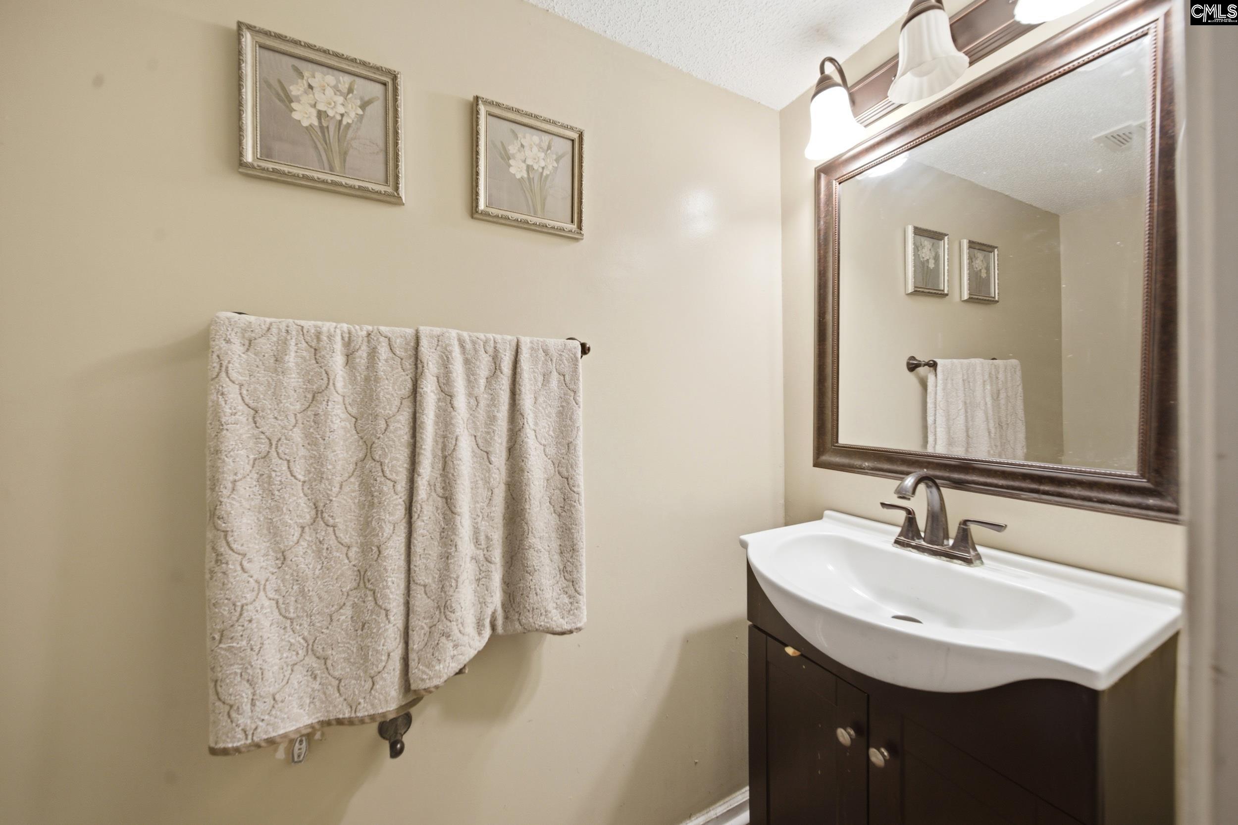 102 Skyhawk Road Irmo, SC 29063 - Photo 8 of 16