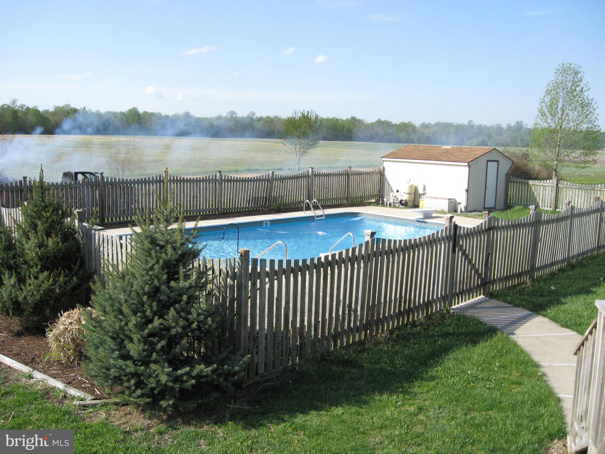 26064 Sennett Road Denton, MD 21629 - Photo 11 of 29 Exterior (Rear)