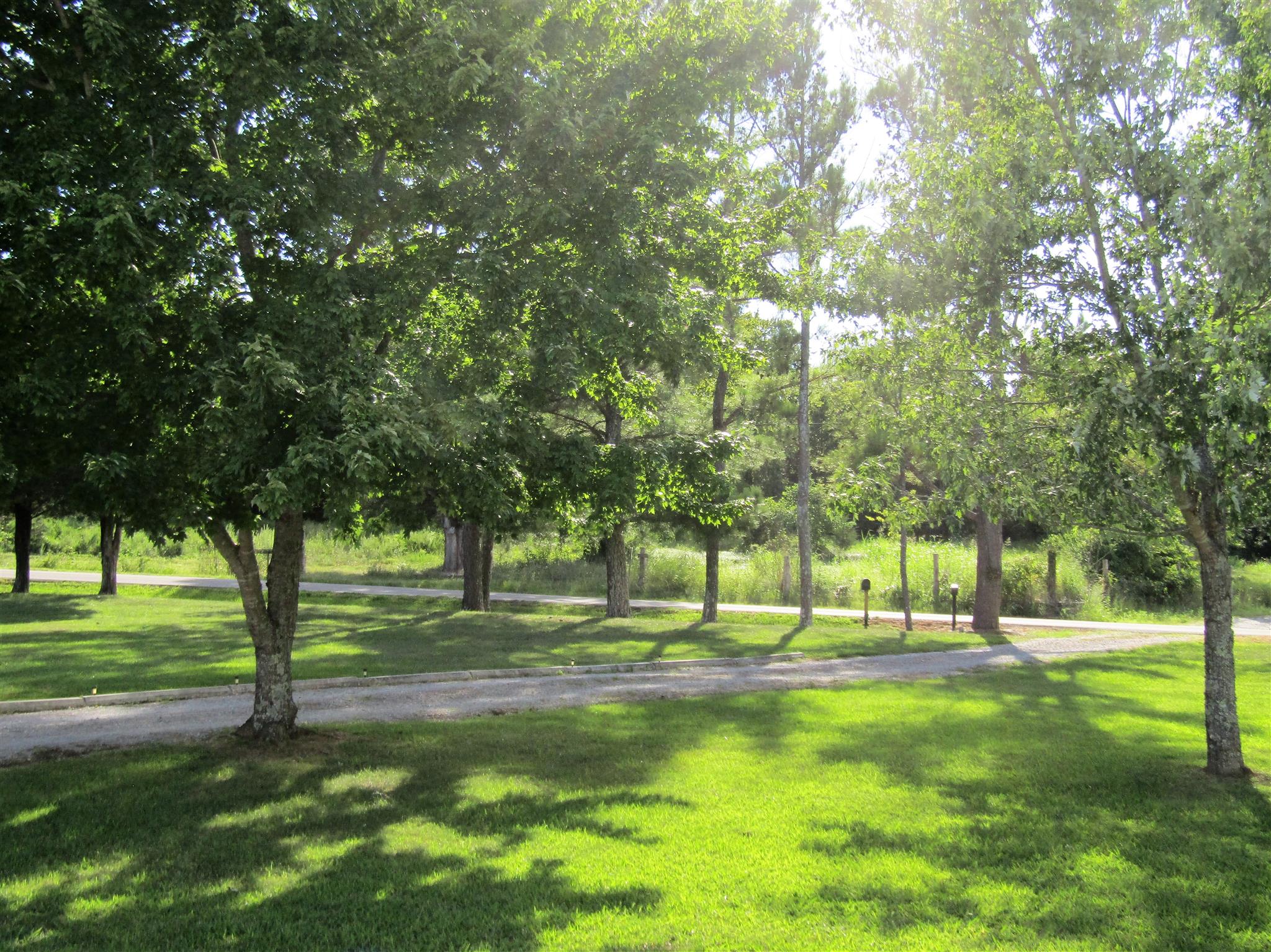 1630 Springplace Road Lewisburg, TN 37091 - Photo 3 of 24 Gallery Image 3