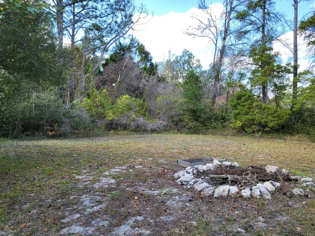2053 Lighthouse Road Carrabelle, FL 32322 - Photo 25 of 38 Gallery Image 25