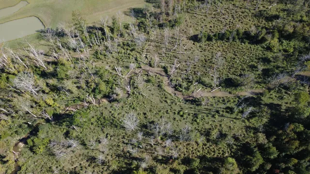 $310,000 | 0 No Pone Valley Road Northwest, Georgetown, TN 37336