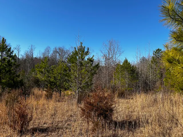 $310,000 | 0 No Pone Valley Road Northwest, Georgetown, TN 37336