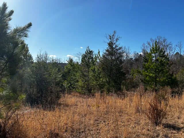 $310,000 | 0 No Pone Valley Road Northwest, Georgetown, TN 37336