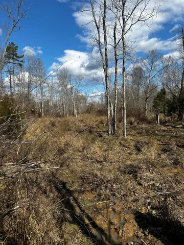 $310,000 | 0 No Pone Valley Road Northwest, Georgetown, TN 37336