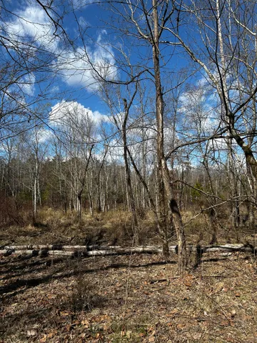 $310,000 | 0 No Pone Valley Road Northwest, Georgetown, TN 37336