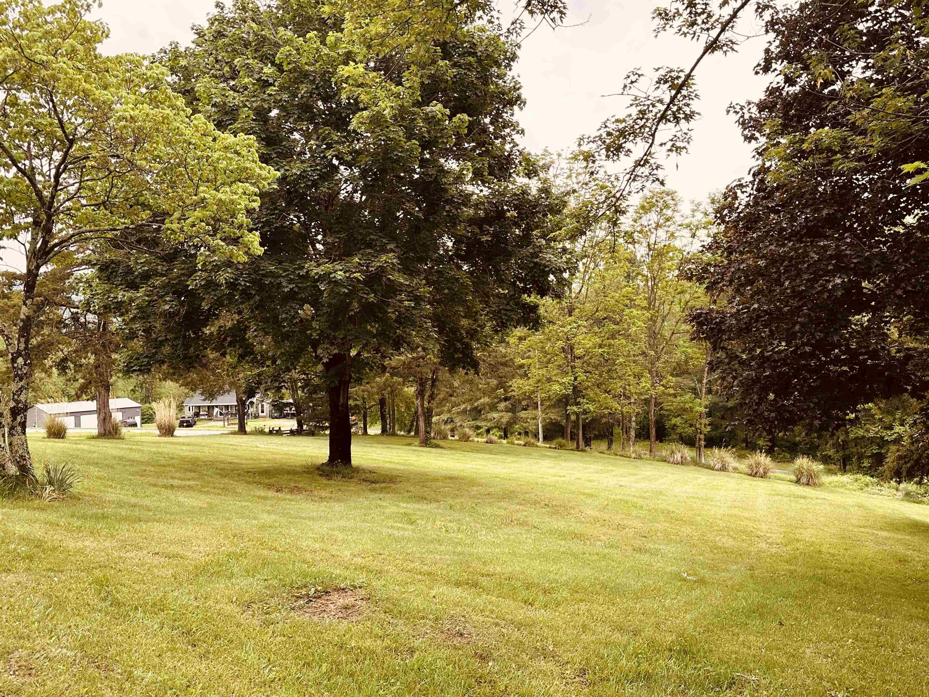 562 Dabneys Road Raphine, VA 24472 - Photo 4 of 14 a view of yard with swimming pool and trees