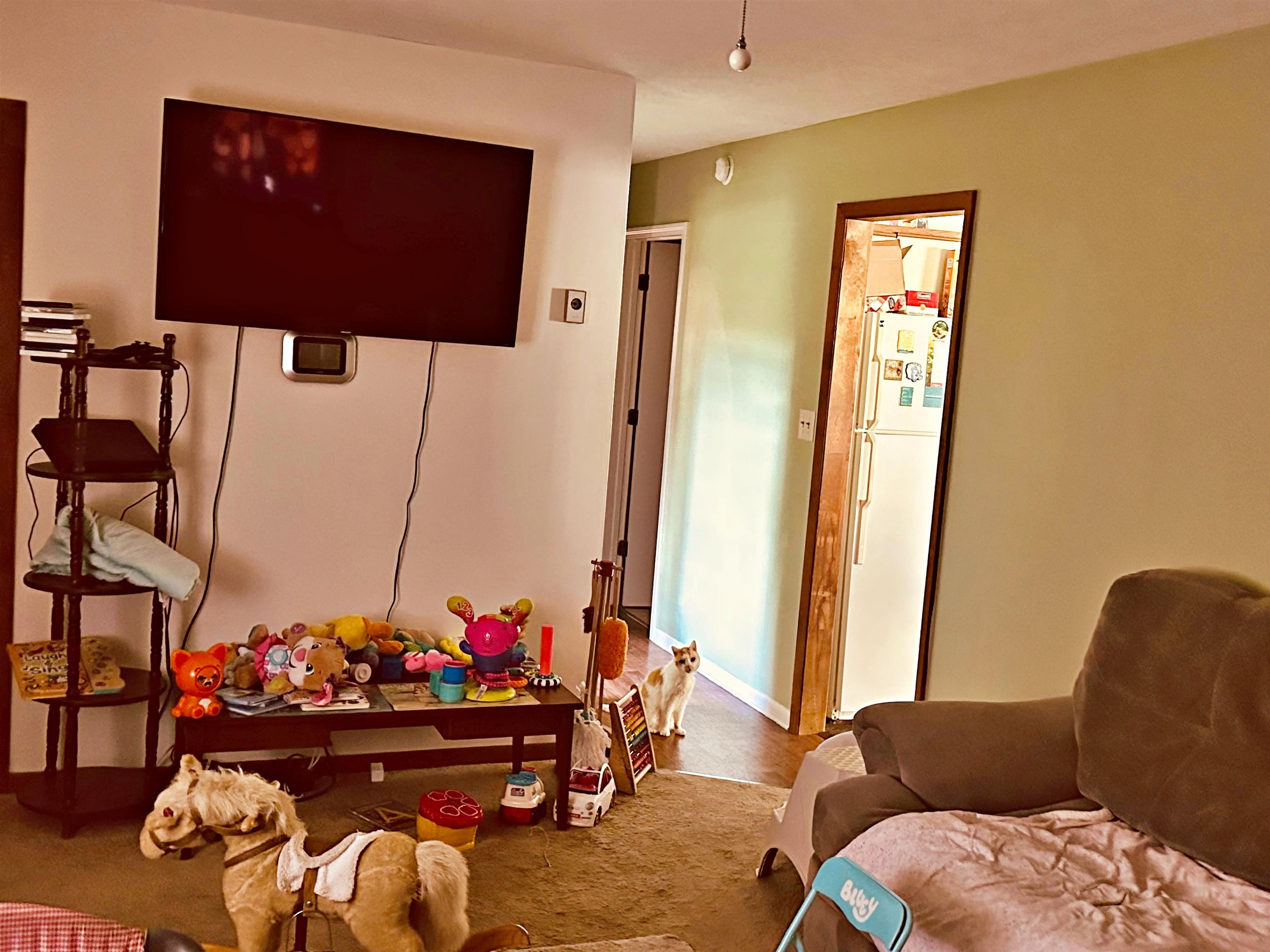 562 Dabneys Road Raphine, VA 24472 - Photo 7 of 14 a living room with furniture and a chandelier