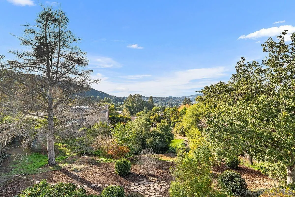 15918 Lime Grove Road Poway, CA 92064 - Photo 43 of 53 a view of a yard with a tree