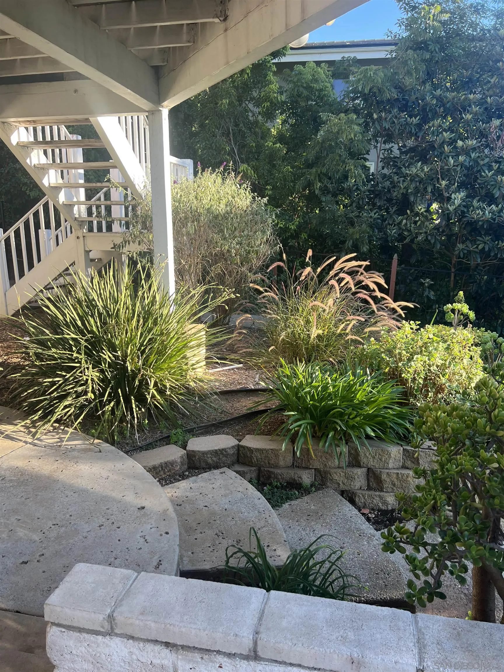 15918 Lime Grove Road Poway, CA 92064 - Photo 47 of 53 a potted plant sitting in front of a house