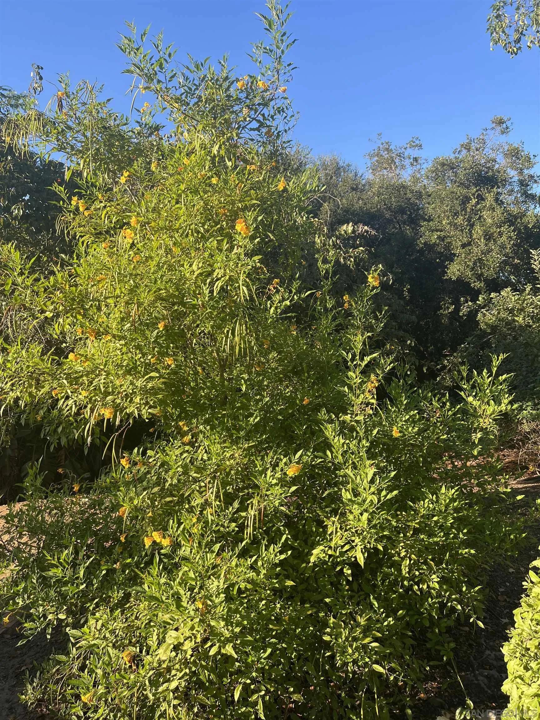 15918 Lime Grove Road Poway, CA 92064 - Photo 51 of 53