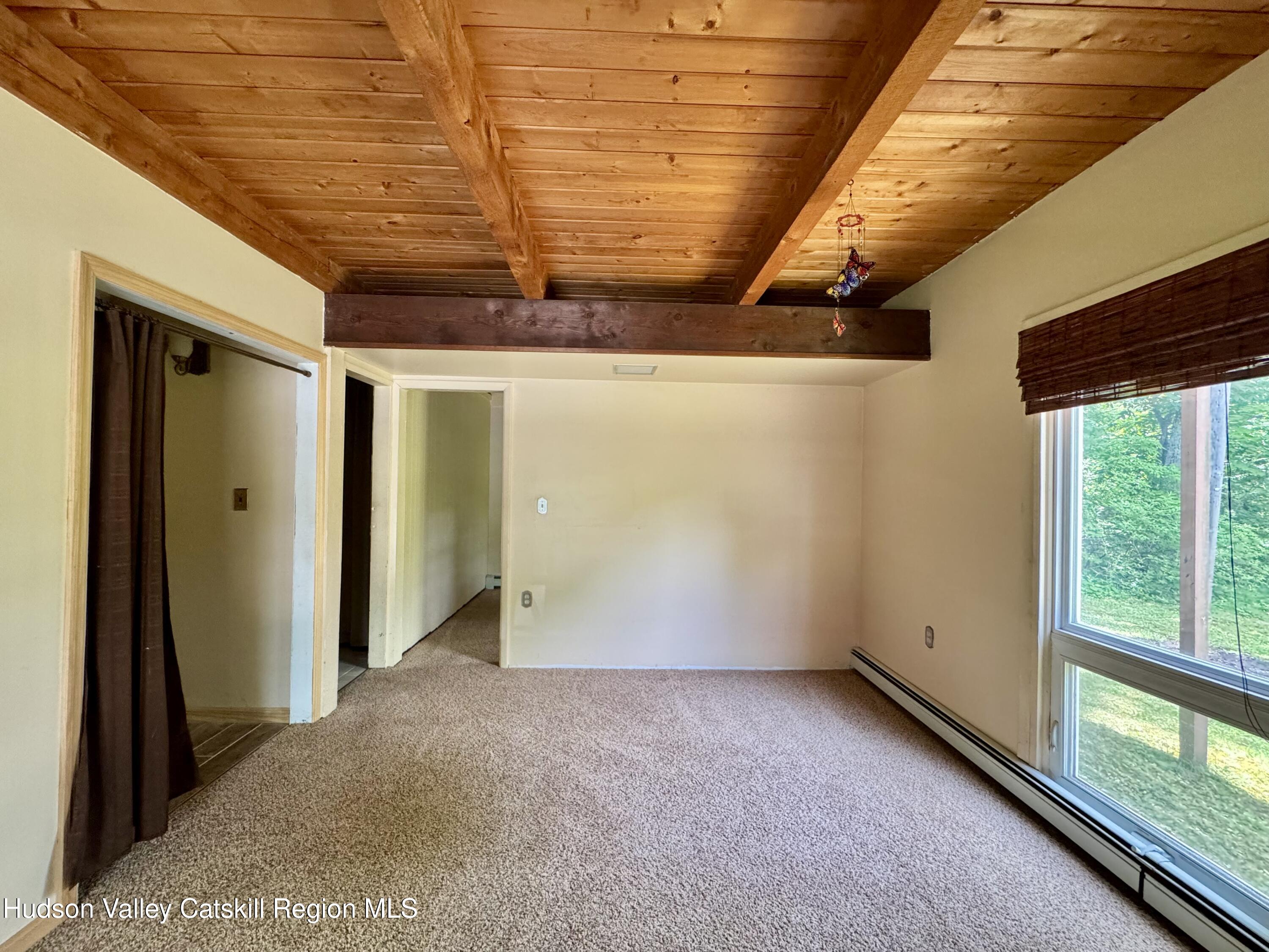 53 5 Mile Woods Road Catskill, NY 12414 - Photo 16 of 17 #16