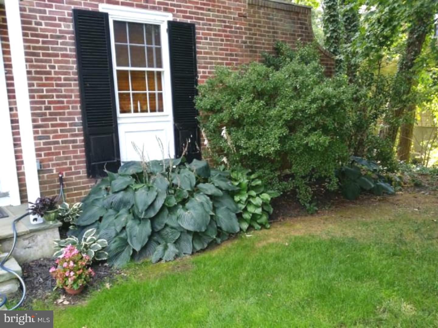 635 Lindley Road Glenside, PA 19038 - Photo 22 of 22 Garden