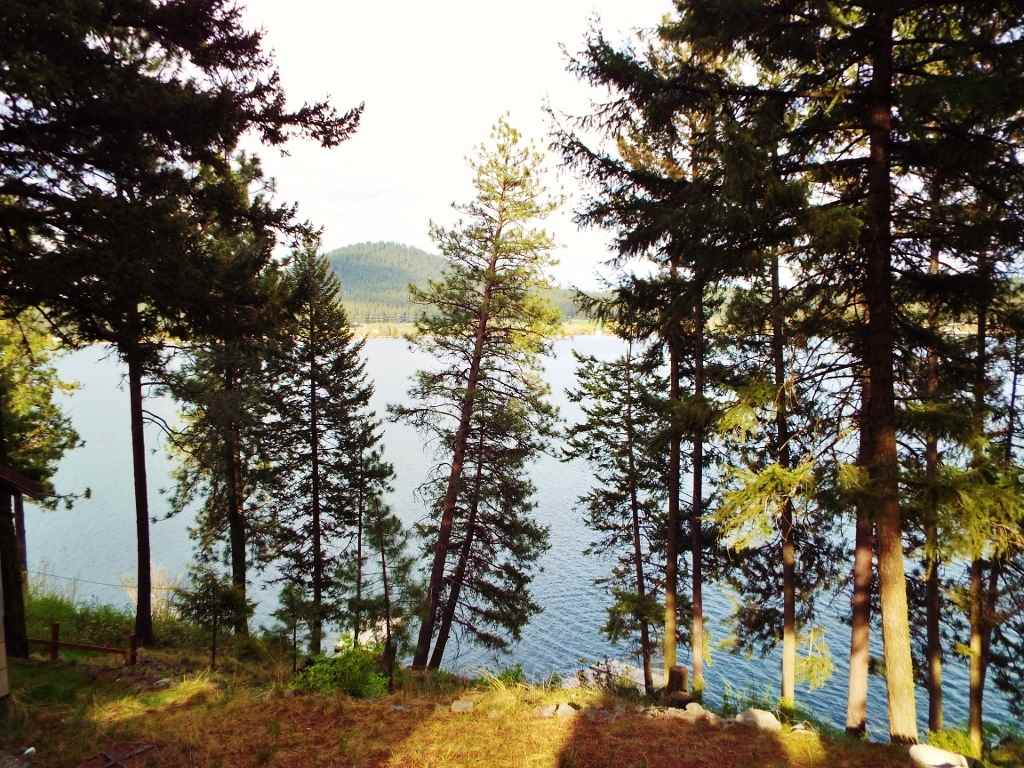 45222 Lakeshore Homes Road Loon Lake, WA 99148 - Photo 15 of 16 Gallery Image 15