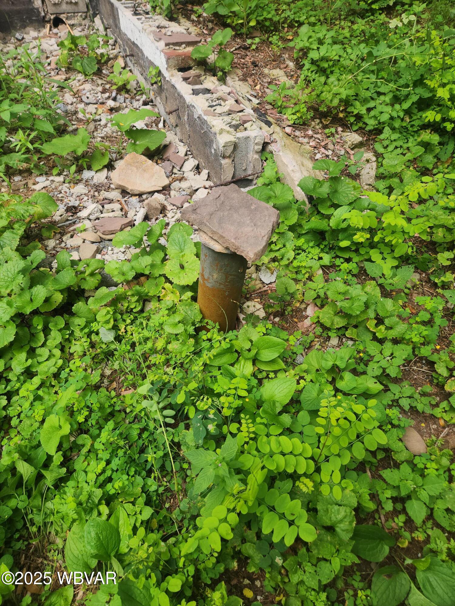 4 Middle Road Shunk, PA 17768 - Photo 10 of 13 20250719_132714