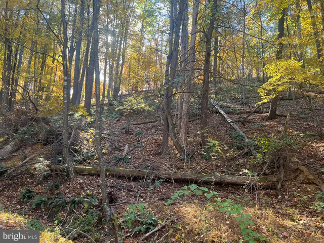 $9,000 | 0 Pin Oak Street, Mount Jackson, VA 22842