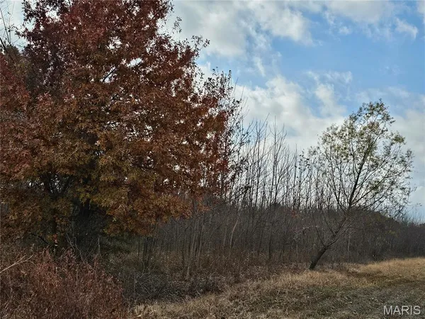 $56,000 | 620 County Road, Broseley, MO 63932
