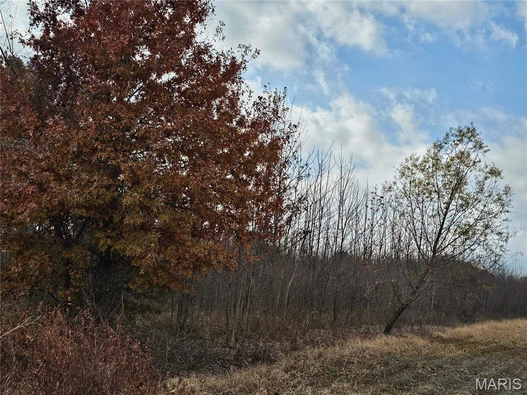 620 County Road Broseley, MO 63932 - Photo 2 of 5