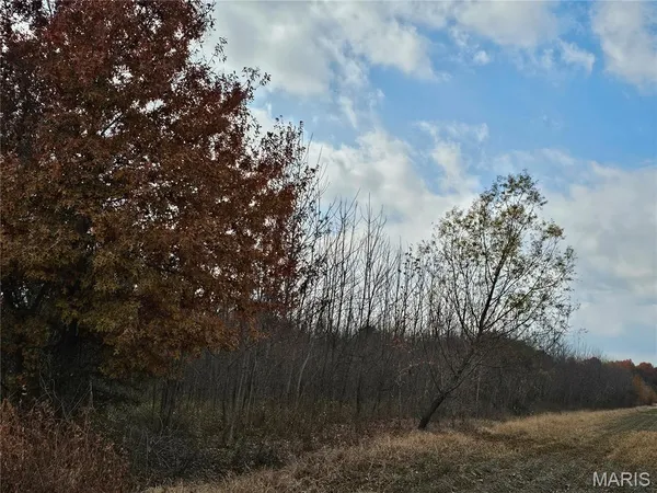 $56,000 | 620 County Road, Broseley, MO 63932