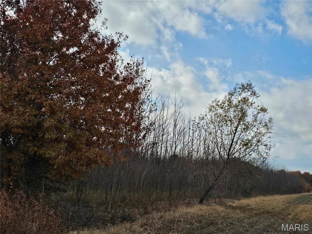 620 County Road Broseley, MO 63932 - Photo 3 of 5