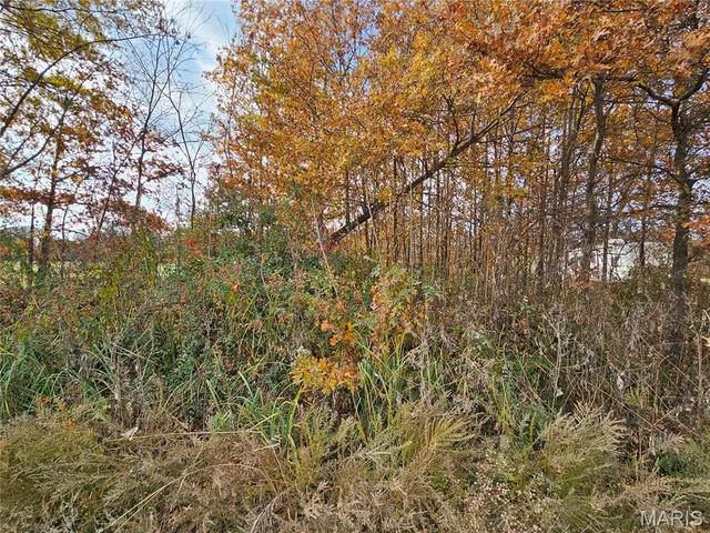 $56,000 | 620 County Road, Broseley, MO 63932