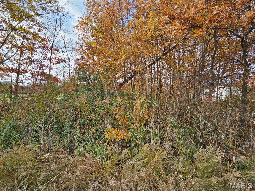 620 County Road Broseley, MO 63932 - Photo 4 of 5