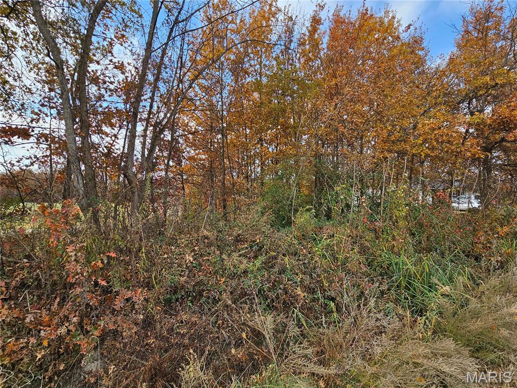 620 County Road Broseley, MO 63932 - Photo 5 of 5