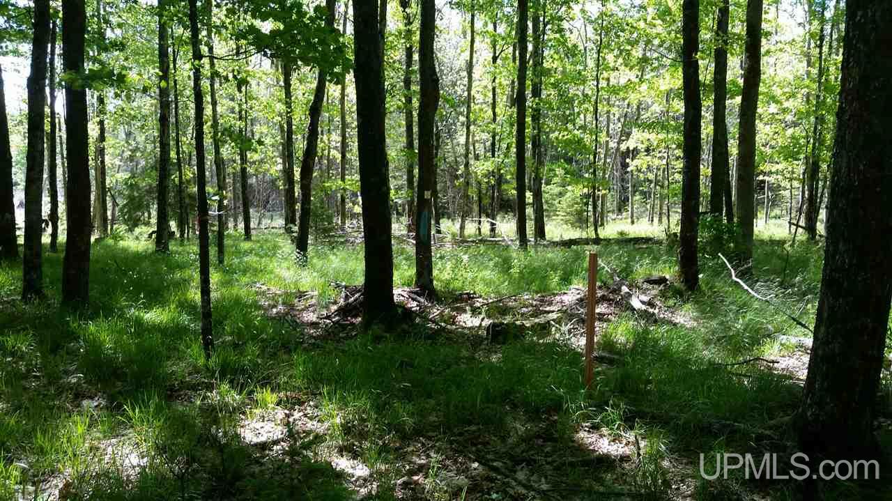 Tbd Off Swan Peterson Road Foster City, MI 49807 - Photo 15 of 18