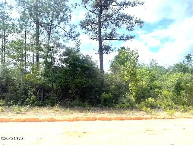 $9,900 | 0 Laurel Circle, Alford, FL 32420