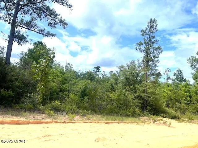 $9,900 | 0 Laurel Circle, Alford, FL 32420