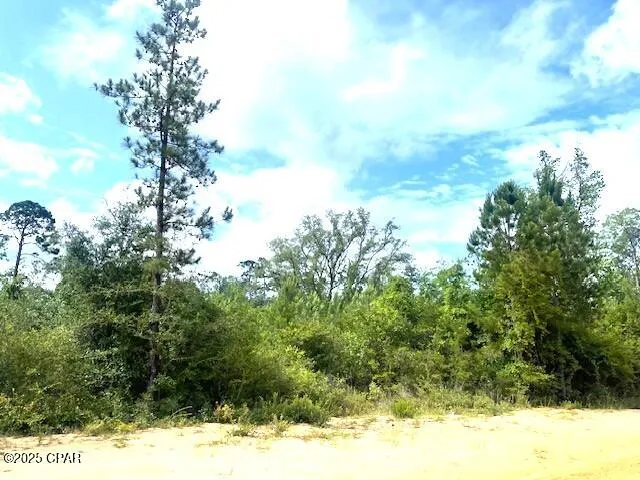 $9,900 | 0 Laurel Circle, Alford, FL 32420