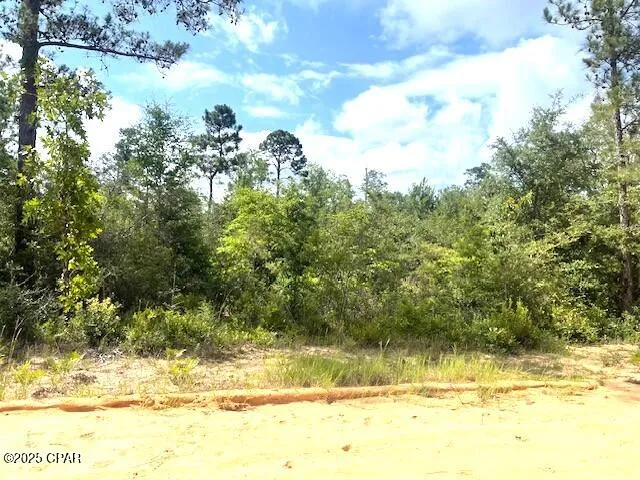 $9,900 | 0 Laurel Circle, Alford, FL 32420