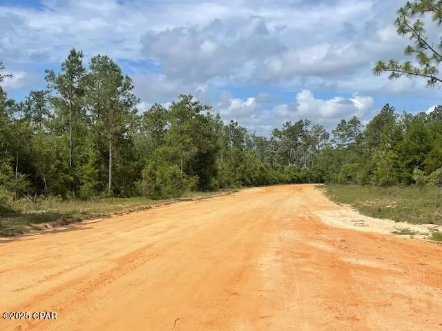 $9,900 | 0 Laurel Circle, Alford, FL 32420