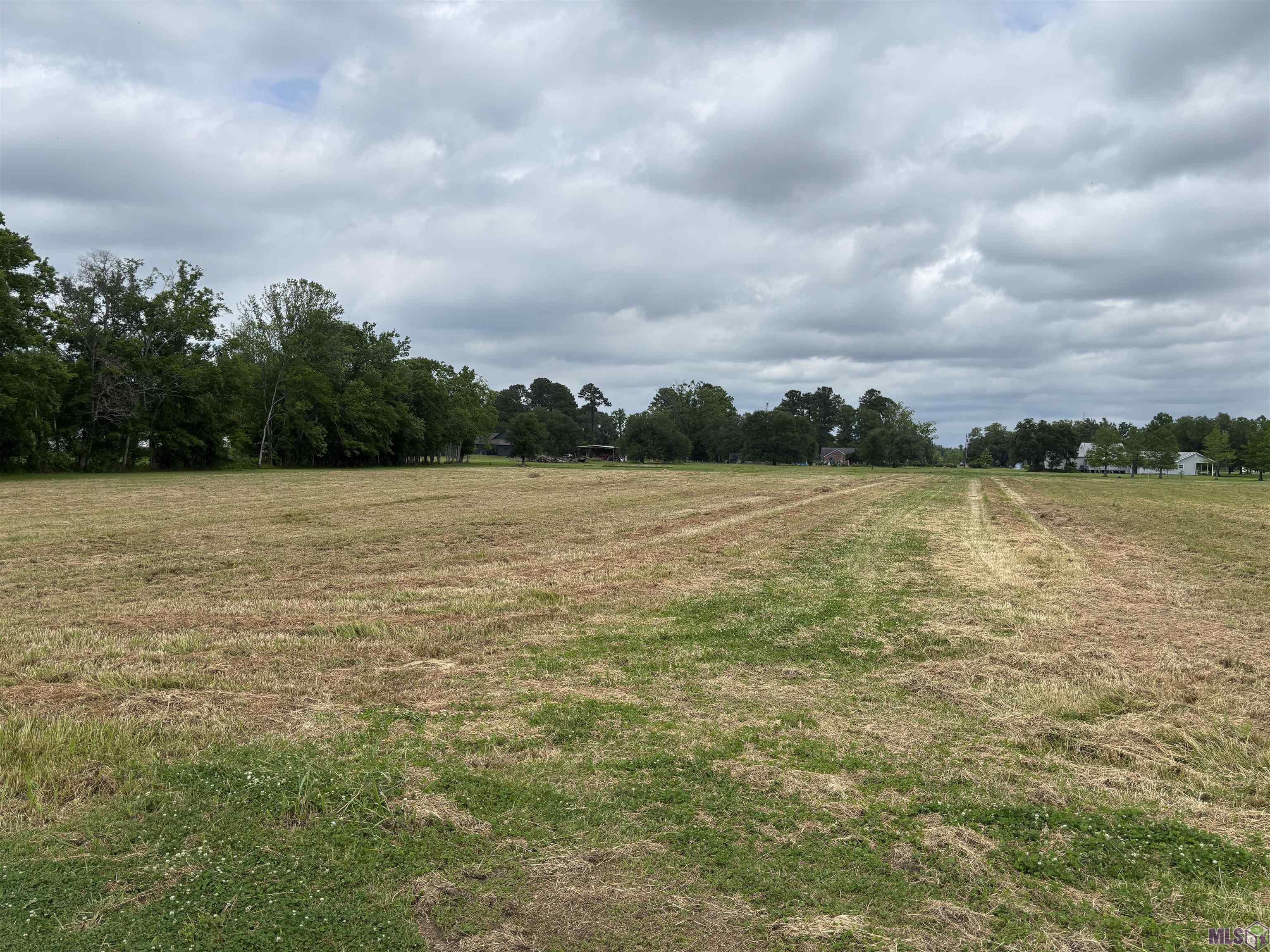 9394 Reine Road St. Amant, LA 70774 - Photo 5 of 5 Gallery Image 5