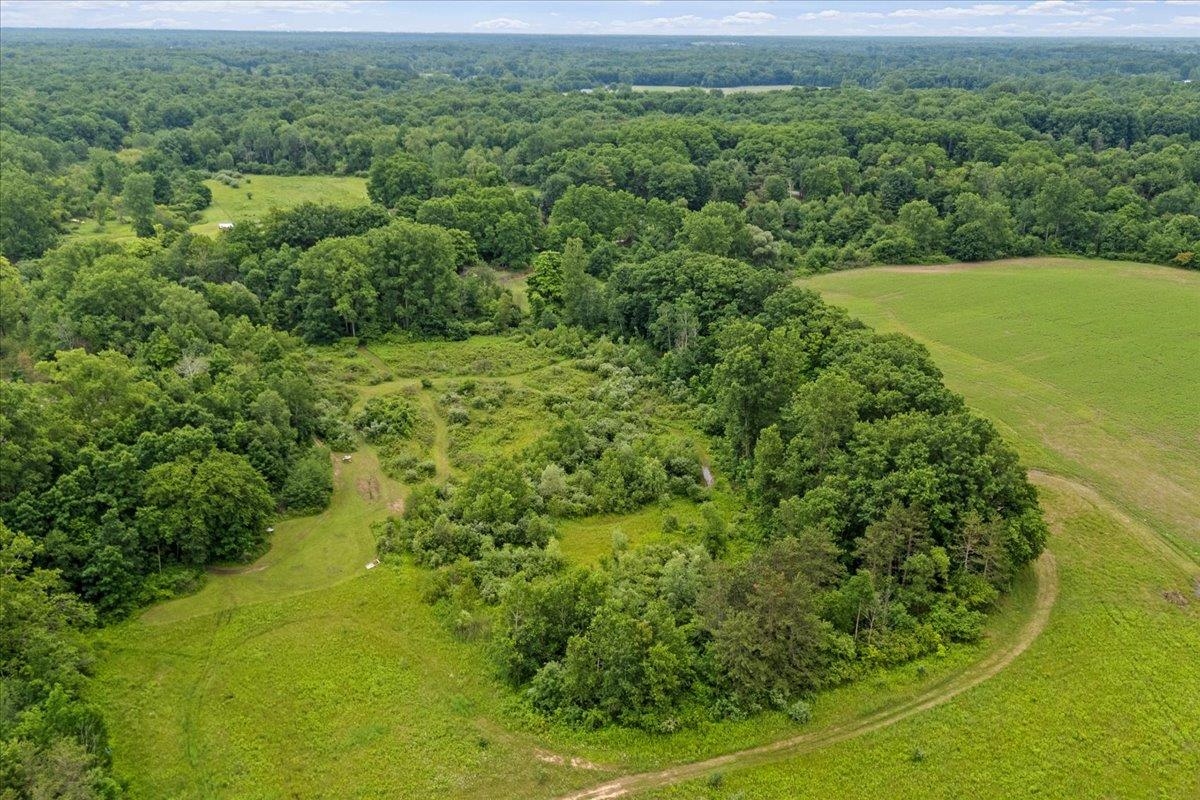 1187 Parks Road Goodells, MI 48027 - Photo 12 of 23