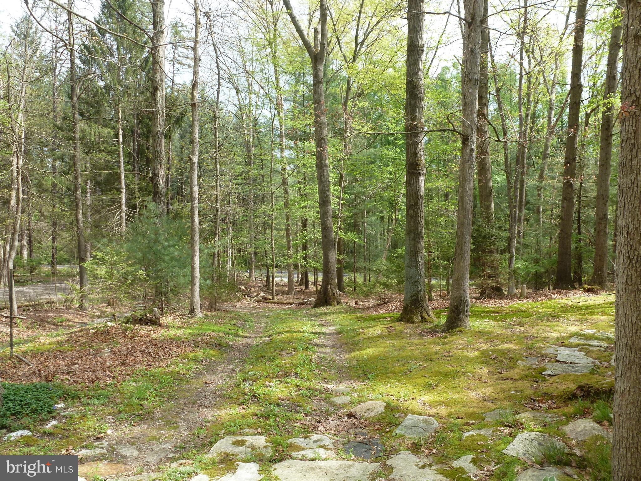 2 Leper Farm Road Newville, PA 17241 - Photo 18 of 20 Gallery Image 18