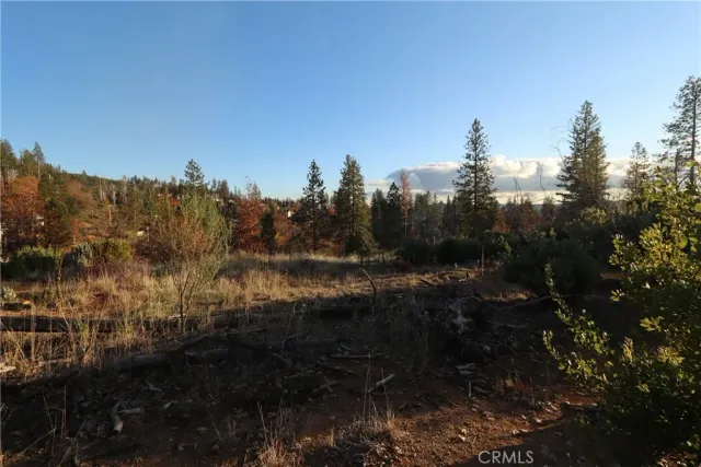 $24,000 | 11090 Oak, Cobb, CA 95426