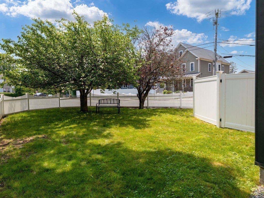 168 Maple Street Boston, MA 02132 - Photo 15 of 39 a view of yard with swimming pool