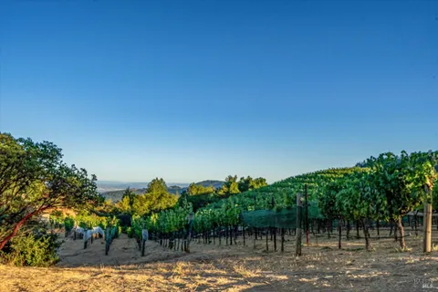 $5,700,000 | 2340 Mt Veeder Road, Napa, CA 94558