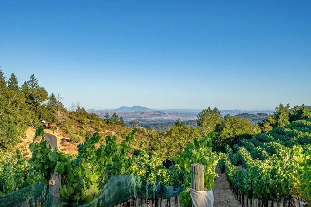 $5,700,000 | 2340 Mt Veeder Road, Napa, CA 94558