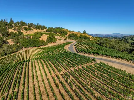 $5,700,000 | 2340 Mt Veeder Road, Napa, CA 94558