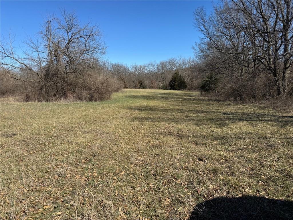 Tract A Southeast 300th Road Warrensburg, MO 64093 - Photo 4 of 6
