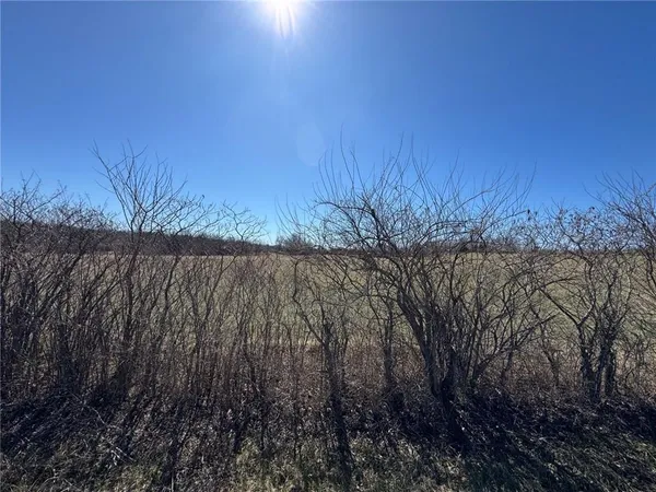 $89,500 | Tract A Southeast 300th Road, Warrensburg, MO 64093