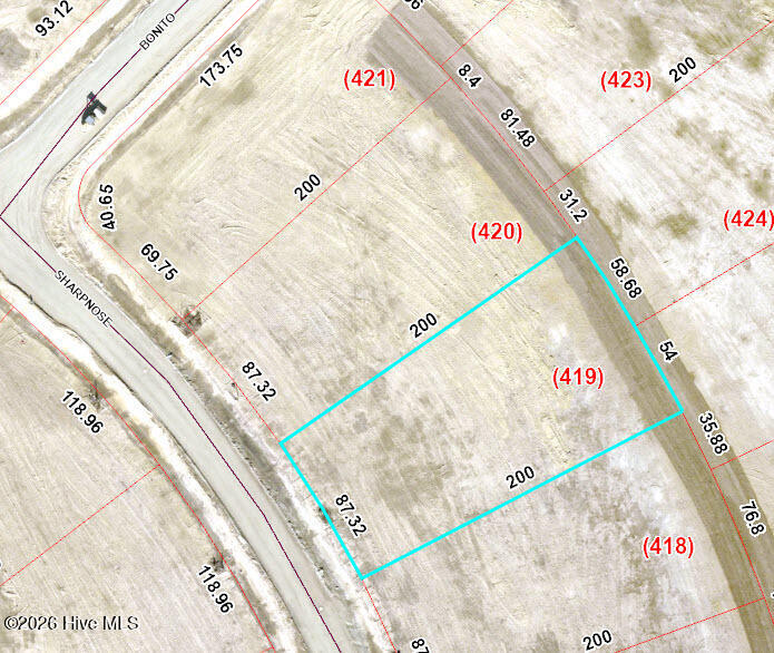 2005 Sharpnose Street New Bern, NC 28562 - Photo 5 of 14 Ortho