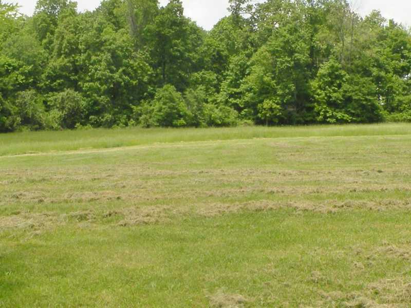 29 A Green Valley Road Eighty Four, PA 15330 - Photo 6 of 8 Land.