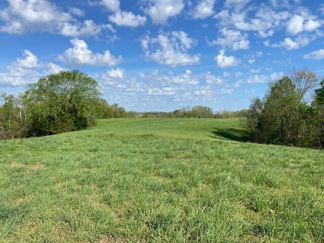 2451 Sardis Road Mount Olivet, KY 41064 - Photo 28 of 42
