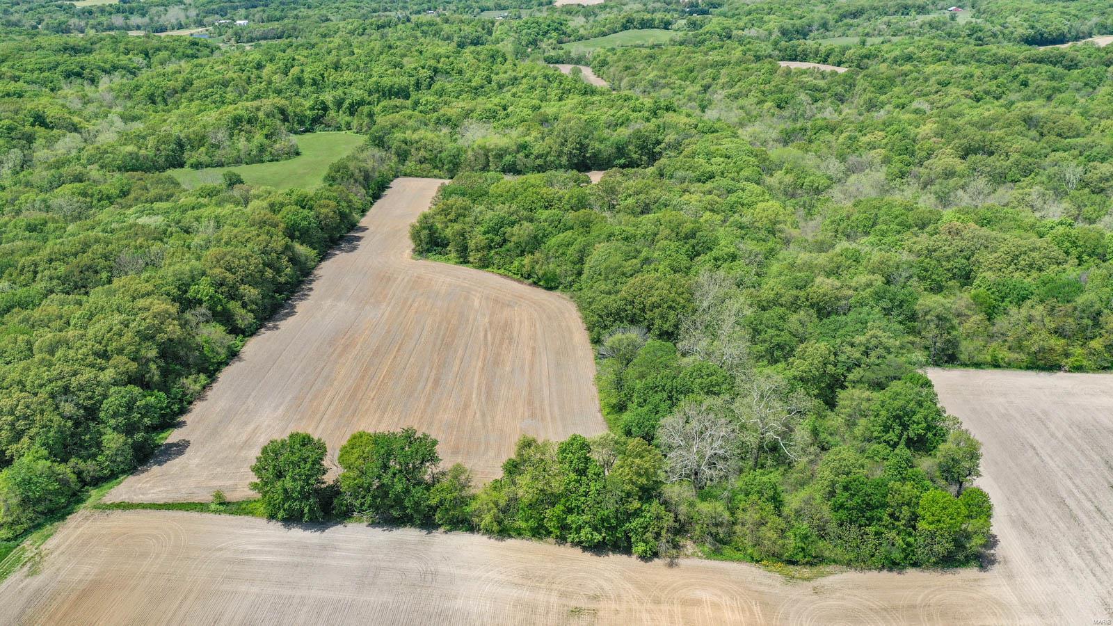1385 Woodburn Road Brighton, IL 62012 - Photo 11 of 76