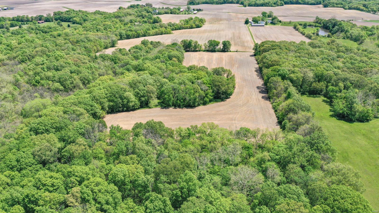 1385 Woodburn Road Brighton, IL 62012 - Photo 12 of 76