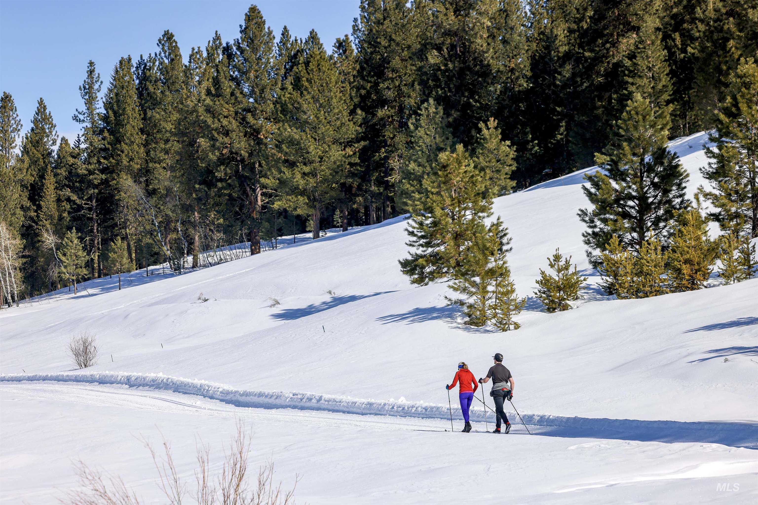 10421 Easy Street McCall, ID 83638 - Photo 9 of 9